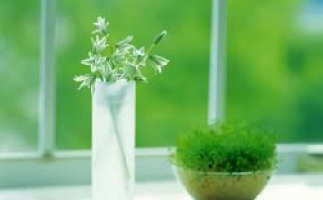 Tìm sự bình an trong cuộc sống hiện tại